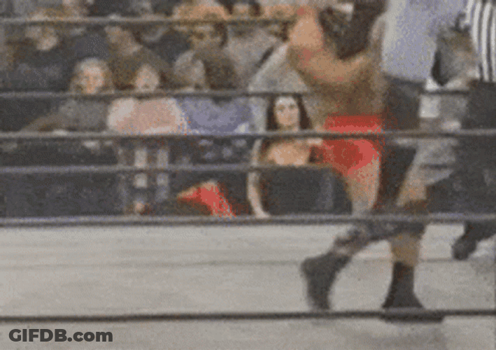 Sid Vicious Legend Wrestler GIF