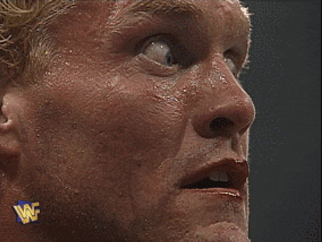 Sid Vicious Wrestling Star Reaction GIF