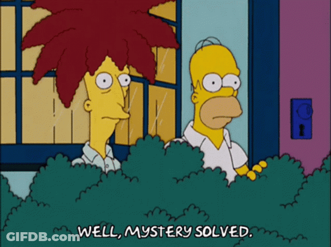 Sideshow Bob And Homer Concluded Mystery Solved GIF