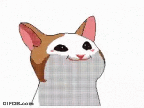 Sifchain Cats GIF