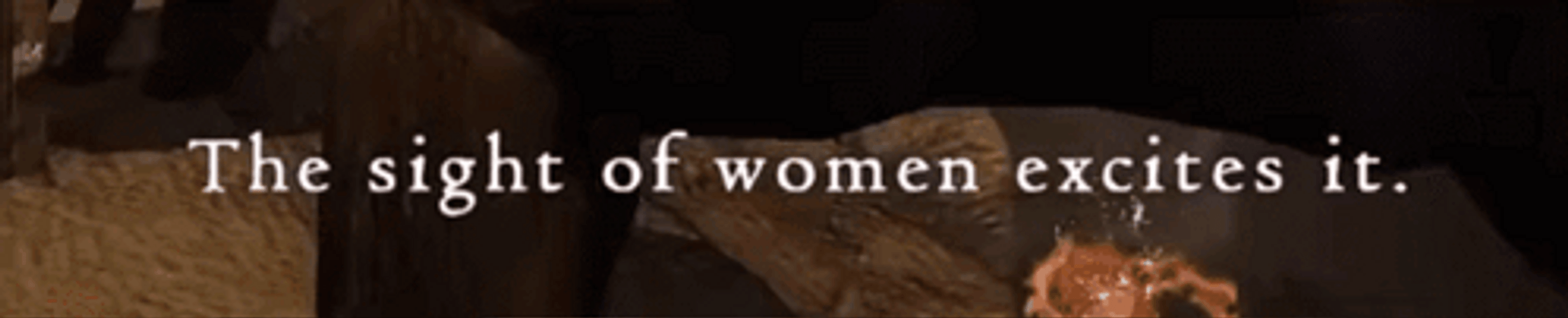 Sight Of Women Excites It GIF