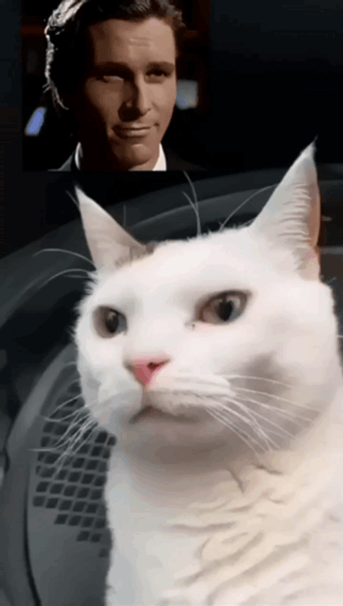 Sigma Khao Manee Face Meme GIF