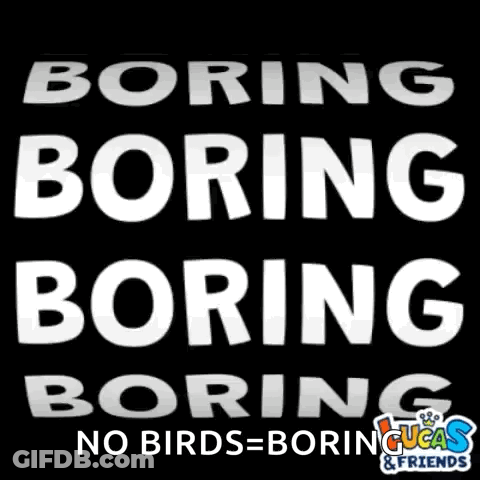 Sign Saying Boring Boring Boring And No Birds Boring GIF