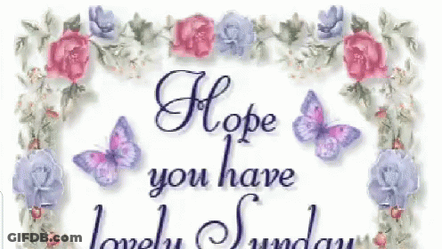 Sign Saying Hope You Have Lovely Sunday GIF