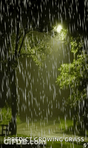 Sign Saying I Predict Growing Grass In The Rain GIF