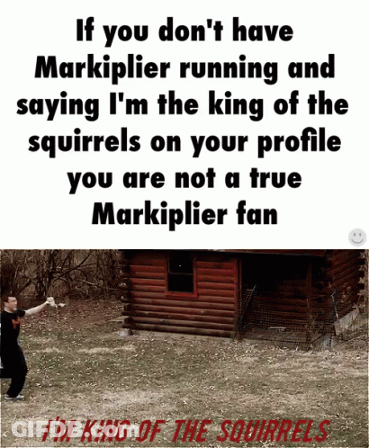 Sign Saying If You Don't Have Markiplier Running And Saying I'm The King Of GIF