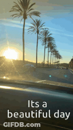 Sign Saying Its A Beautiful Day With Palm Trees GIF