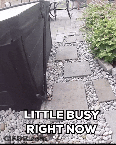Sign Saying Little Busy Right Now GIF