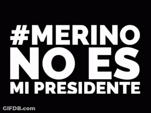 Sign Saying Merino No Es Mi Presidente GIF