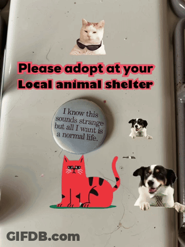 Sign Saying Please Adopt At Your Local Animal Shelter GIF