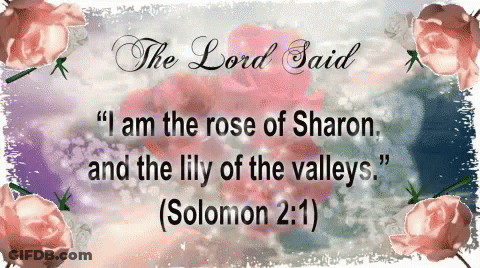 Sign Saying The Lord Said I Am The Rose Of Sharon And The Lily Of The Valleys GIF