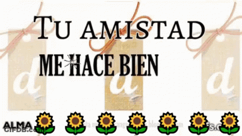 Sign Saying Tu Amistad Me Hace Bien GIF