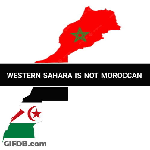 Sign Saying Western Sahara Is Not Moroccan GIF