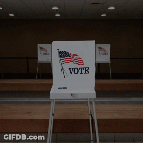 Sign Says We Will Fight For Voting Rights GIF