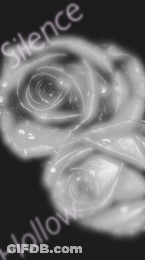 Silence I Kill You Bright Roses GIF