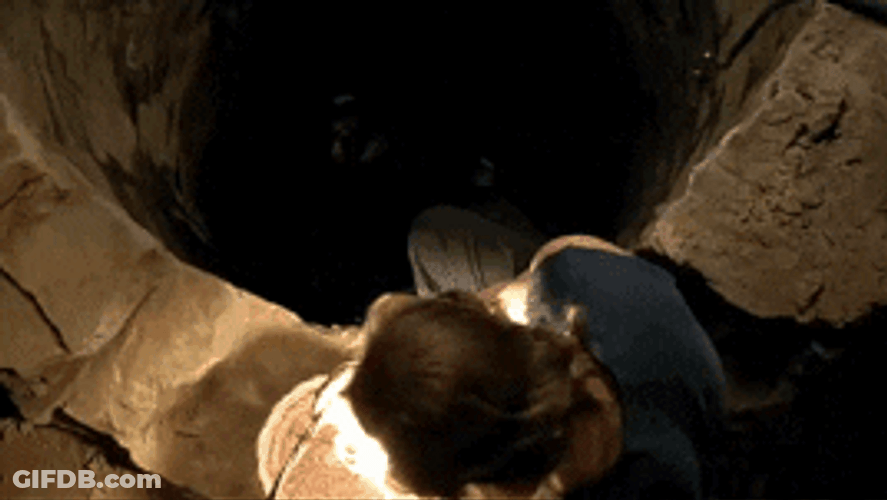 Silence Of The Lambs Starling Investigates GIF