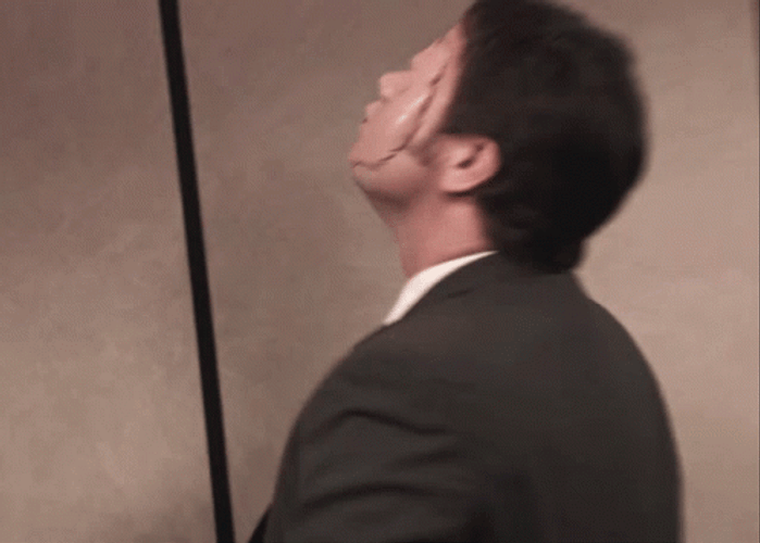 Silence Of The Lambs The Office Meme GIF