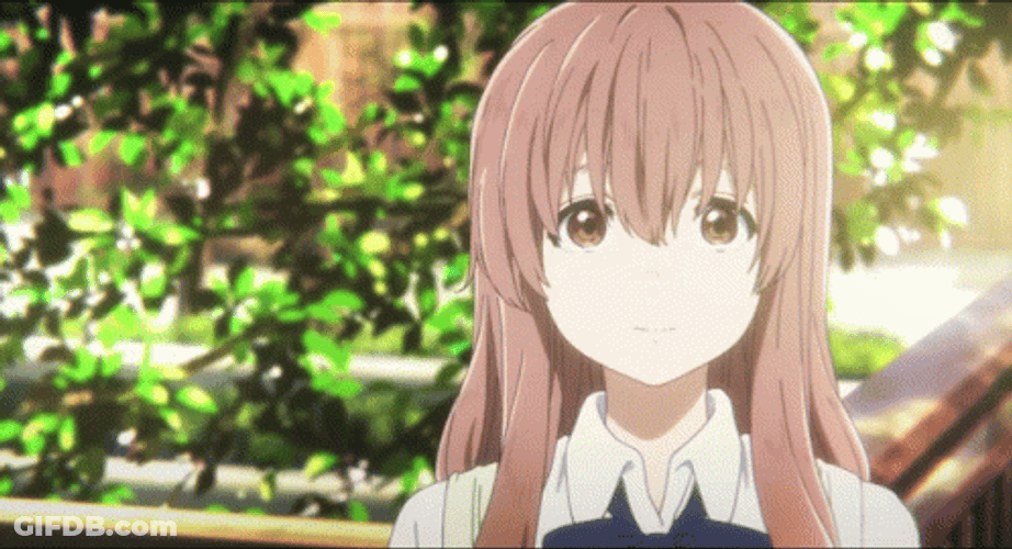 Silent Voice Nishimiya's Sign Language GIF