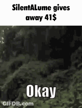 Silentalume Gives Away 41 Dollars GIF