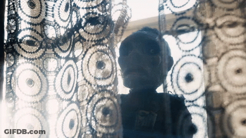 Silhouette Behind Crocheted Curtain GIF