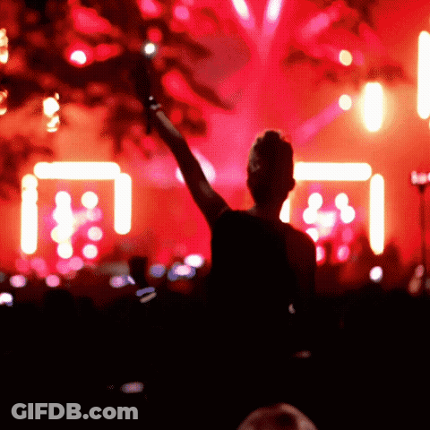 Silhouette Holding Microphone In Front Of Crowd GIF