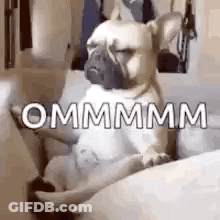 Silhouette In Lotus Position With Amber Lyra Productions GIF