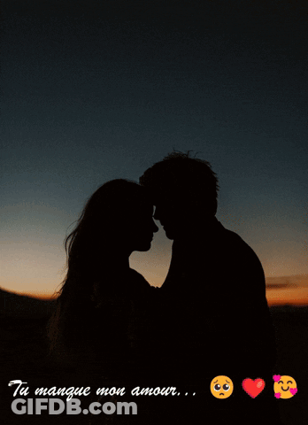 Silhouette Man And Woman Kissing Tu Mange Mon Amour GIF