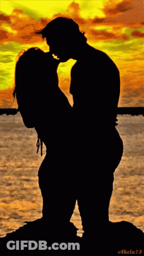 Silhouette Man Holding Woman 73 GIF