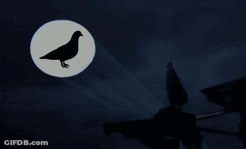 Silhouette Man Running Moon Bird GIF