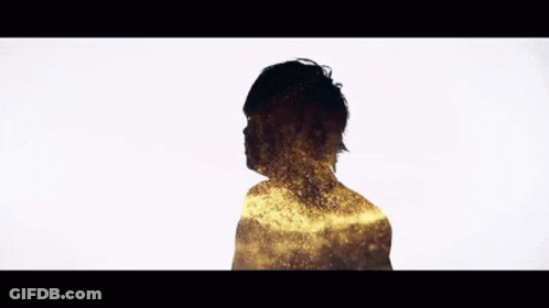 Silhouette Man With Crown Taking Selfie GIF