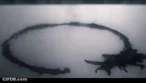 Silhouette Of A Circle GIF