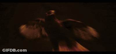 Silhouette Of Eagle With Wings Spread GIF