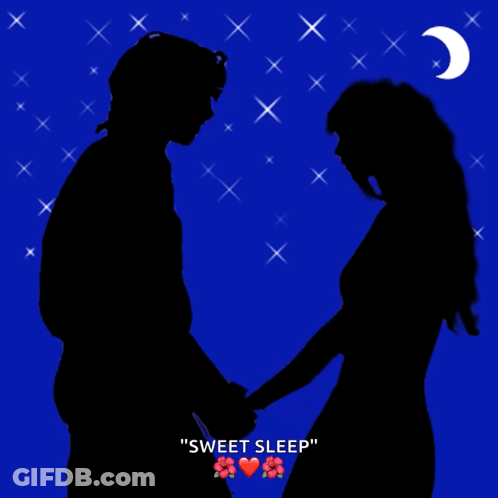 Silhouette Of Man And Woman Holding Hands Sweet Sleep GIF