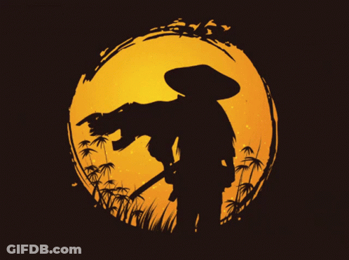 Silhouette Of Man Holding Gun At Sunset GIF