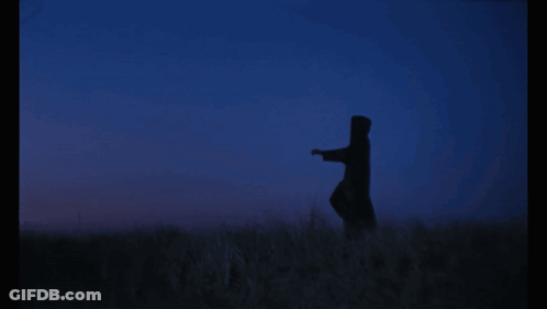 Silhouette Of Person In Field GIF