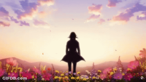 Silhouette Of Person In Flower Field At Sunset GIF