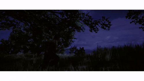 Silhouette Of Person Riding Horse In Dark GIF