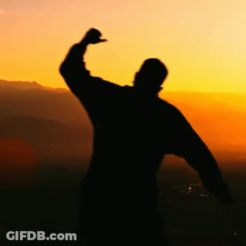 Silhouette Of Person With Arm In Air At Sunset GIF