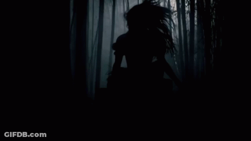 Silhouette Person In Dark Forest GIF