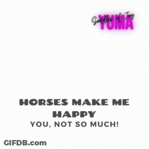 Silhouette Person Riding Horse Horses Make Me Happy GIF