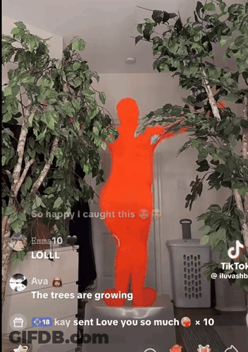Silhouette Person Surrounded By Trees GIF