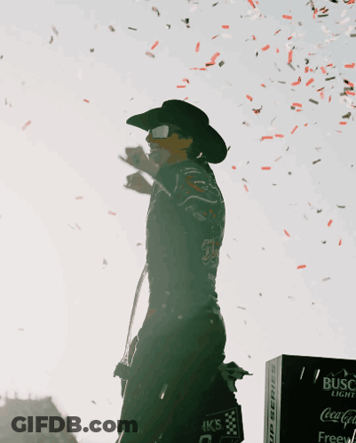Silhouette Person Wearing Black Jacket Dove GIF