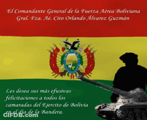 Silhouette Soldier Holding Gun And Flag GIF