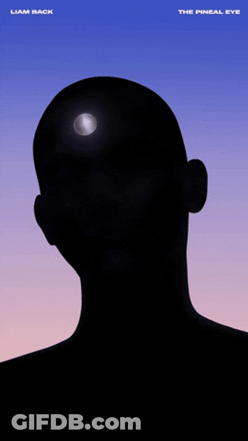Silhouette Spiritual Pineal Eye GIF