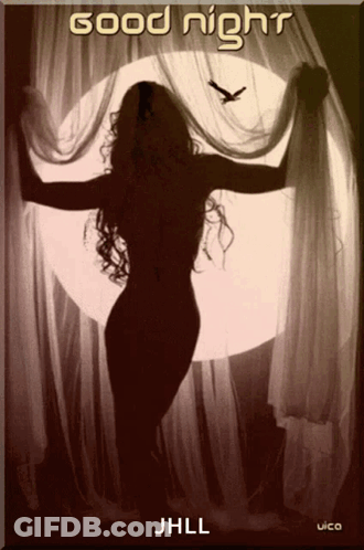 Silhouette Woman Good Night Jhll GIF