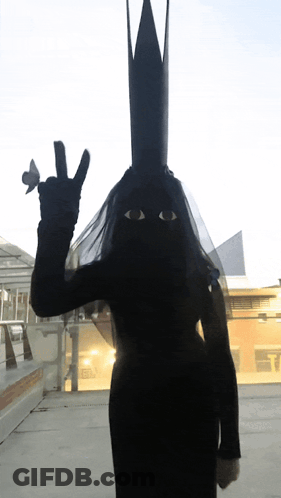 Silhouette Woman With Veil And Crown GIF