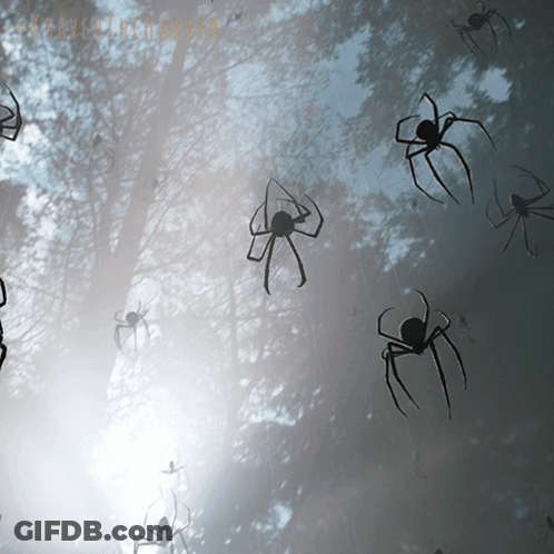 Silhouetted Spiders Foggy Sky Paranormal GIF