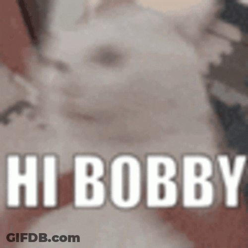 Silly Cat Greeting Hi Bobby Witt GIF