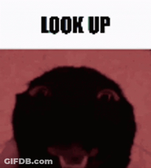 Silly Cat Looking Up GIF
