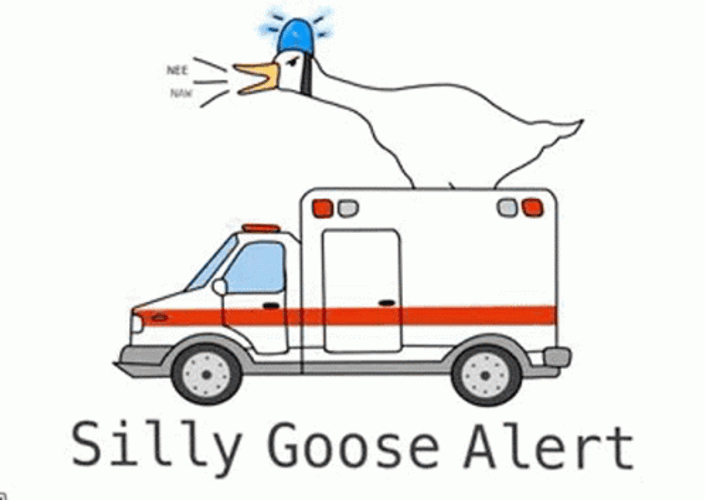 Silly Goose Alert Ambulance GIF